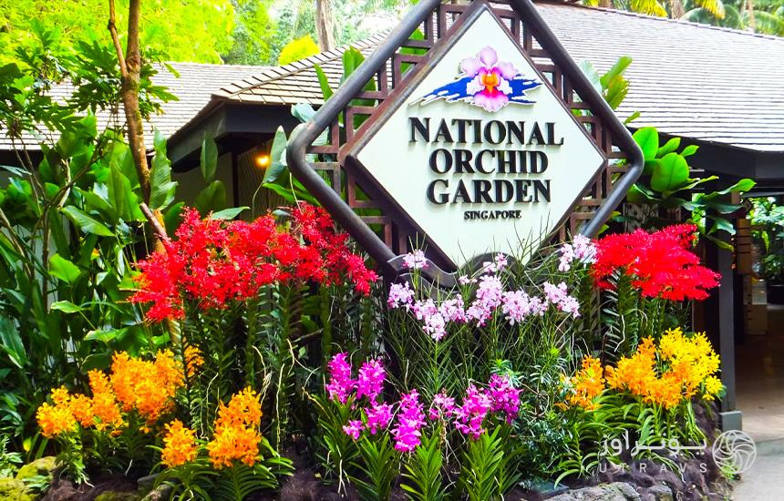 Orchid Garden Singapore Botanical Garden